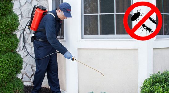 Karabağlar Bit İlaçlama böcek ilaçlama ve haşere kontrolü — ilaclama-tr.com